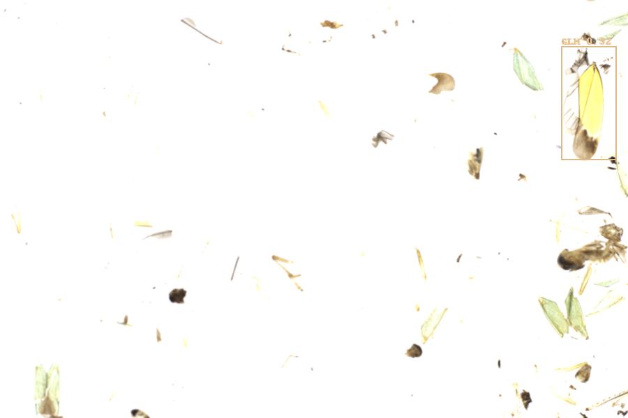 Image 27